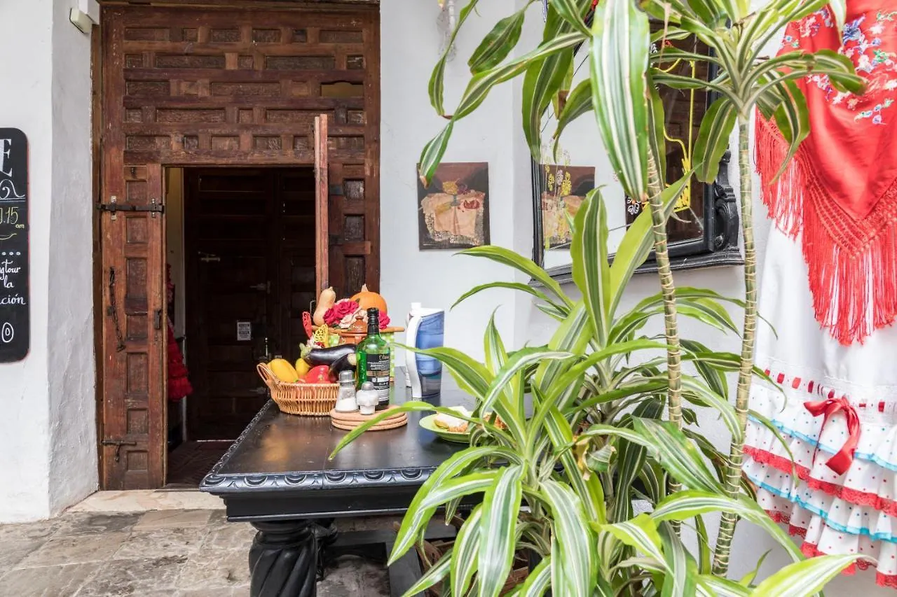 Hostel Patio 19 Малага Испания