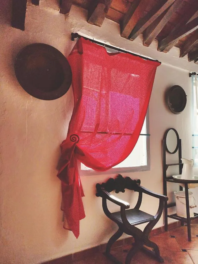 Hostel Patio 19 Μάλαγα Bed and Breakfast