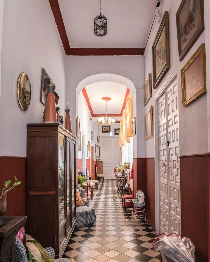 Bed & Breakfast Hostel Patio 19 Malaga Spain
