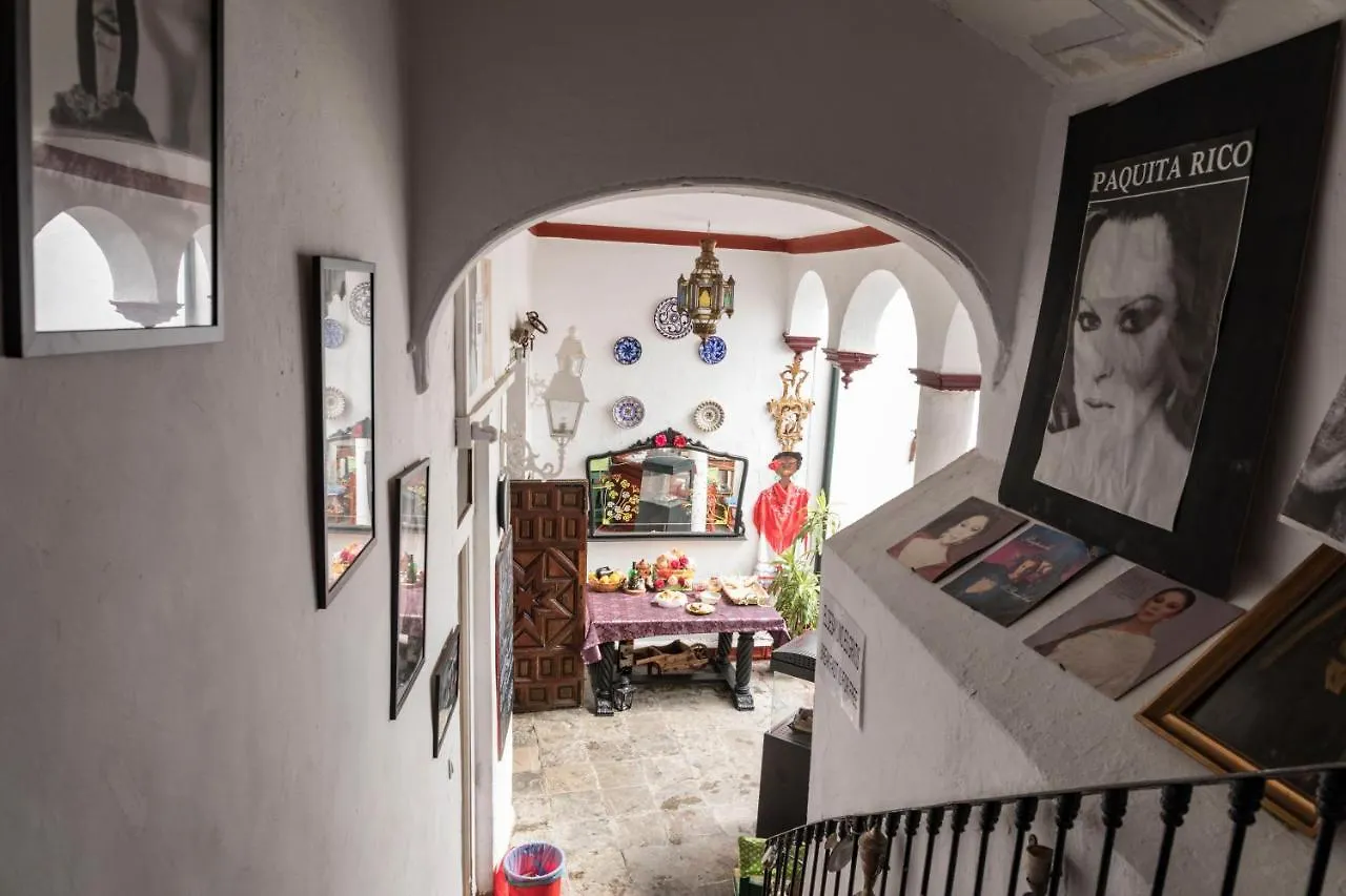 Hostel Patio 19 Malaga Bed & Breakfast